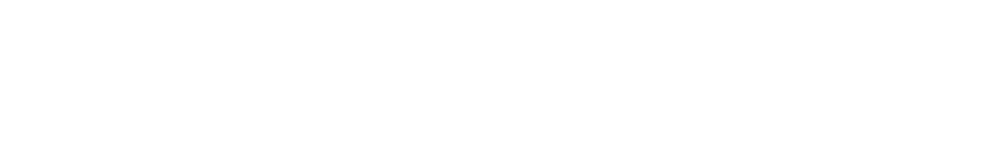 Flylow logo
